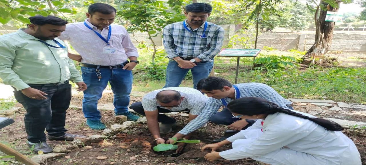 बैतूल पर्यावरण दिवस पर ओम आयुर्वेदिक कॉलेज ने रोपे 100 औषधीय पौधे