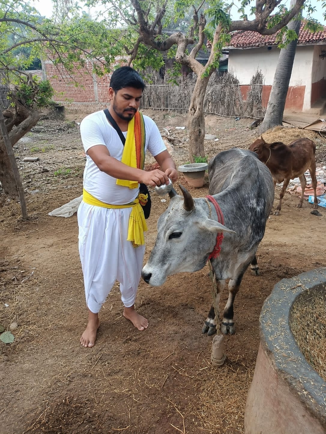 कुड़मि समुदाय ने मनाया गोमहा परब