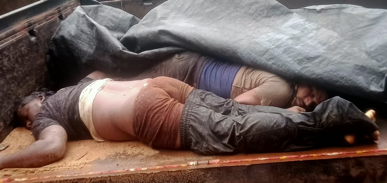 बैल चोरी कर भाग रहे बोलेरो सवार दो लोगों की हादसे में मौत